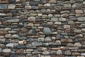 Leading a March of Fools | The Steward's Journey